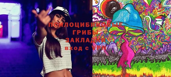 дживик Переславль-Залесский