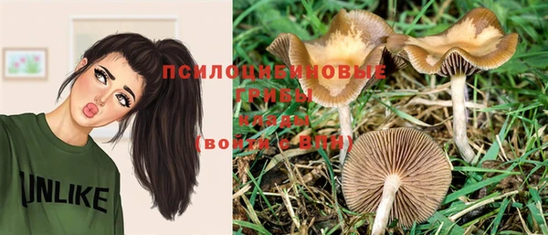 гашик Баксан