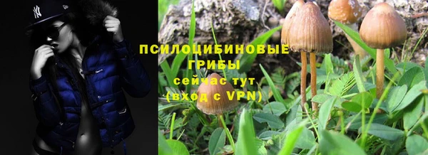 дурь Балабаново