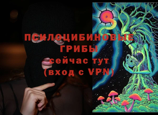 гашик Баксан